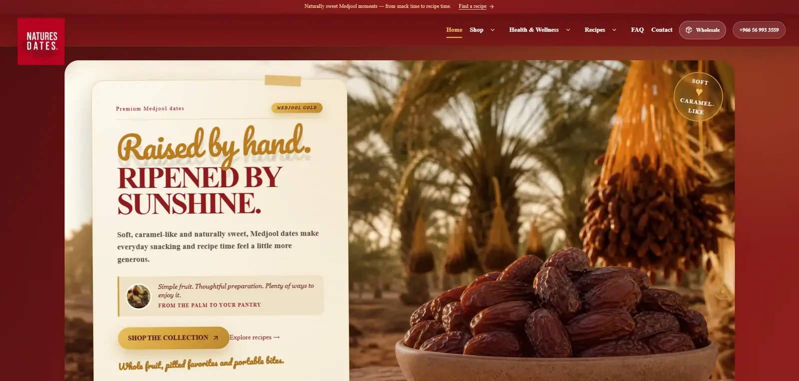 Projet Nature’s Dates - Premium Medjool réalisé par Nemsi Media
